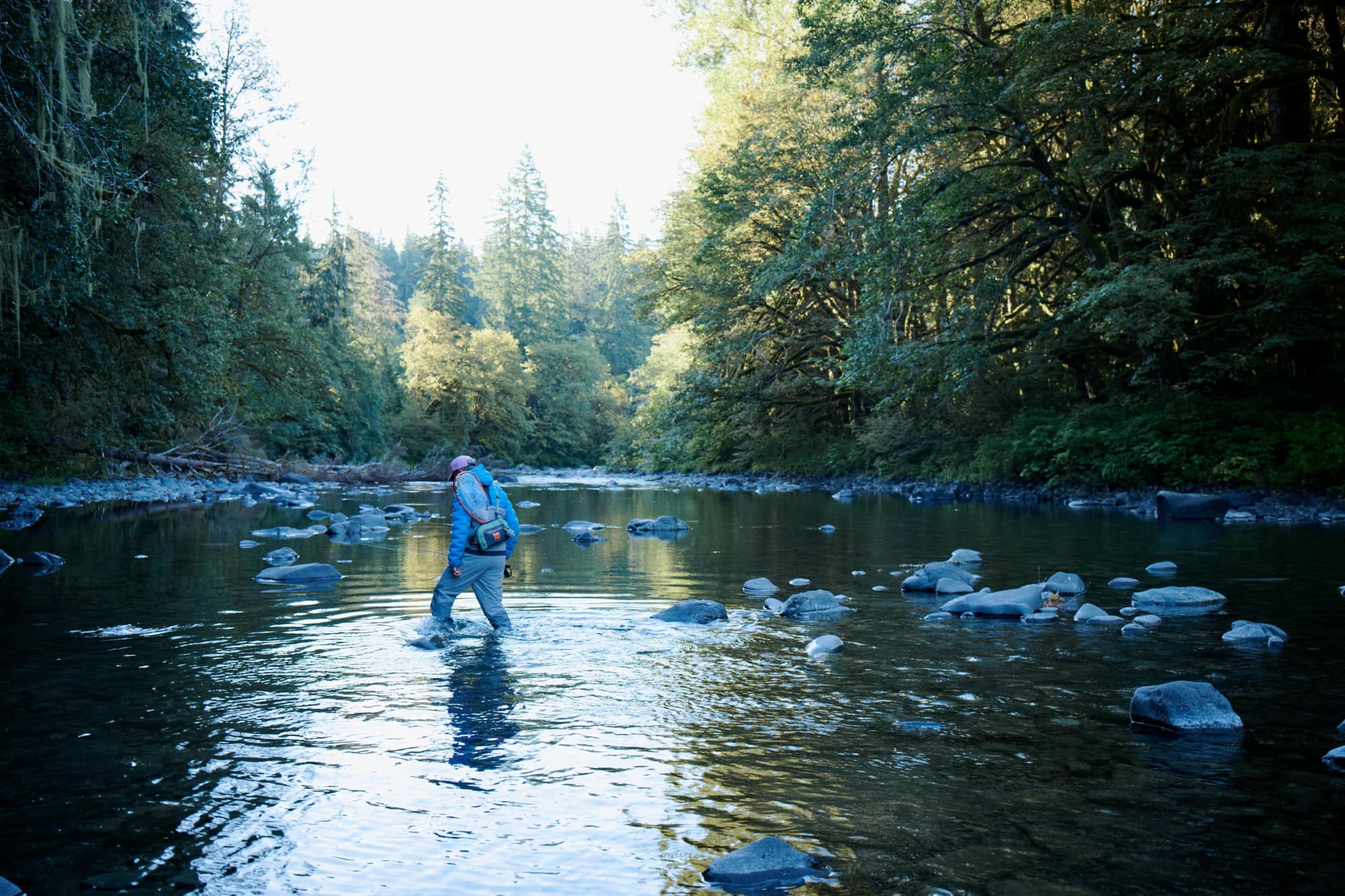 Angler casting in a forest river near camp
