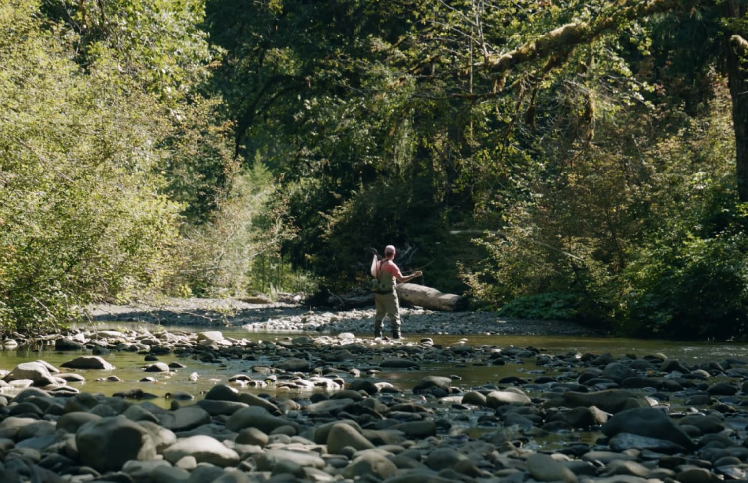 Angler fly fishing in a forest river